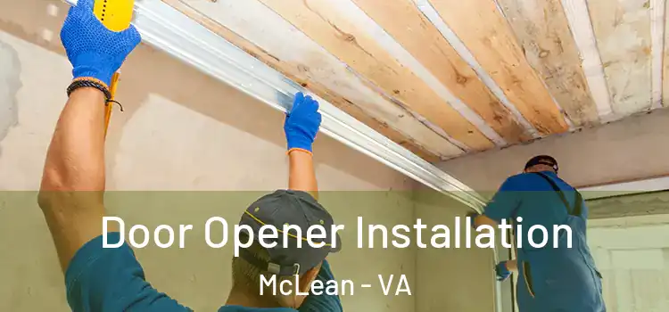 Door Opener Installation McLean - VA