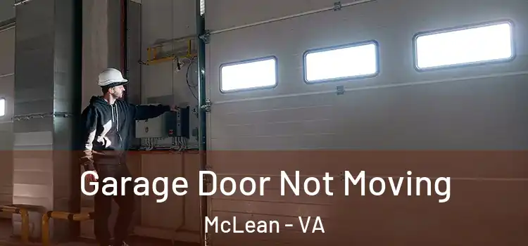  Garage Door Not Moving McLean - VA