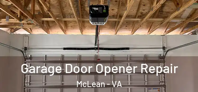  Garage Door Opener Repair McLean - VA