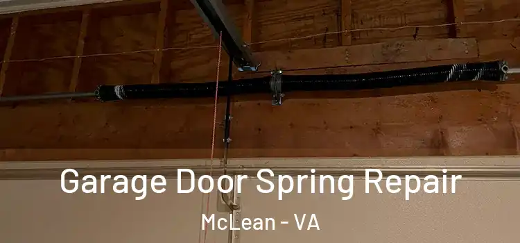  Garage Door Spring Repair McLean - VA