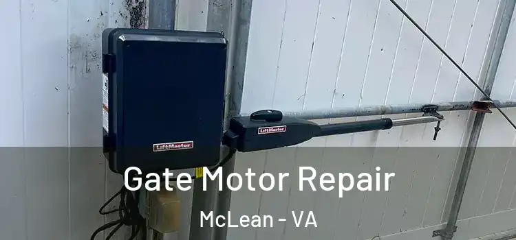 Gate Motor Repair McLean - VA