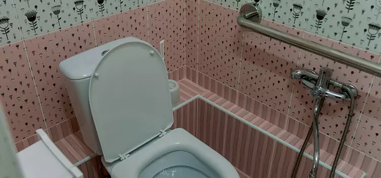 Meeting Diverse Needs With Accessible Restroom Solutions in McLean, VA