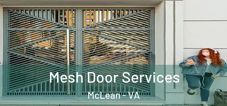 Mesh Door Services McLean - VA
